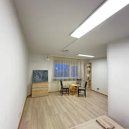 Palace Of Culture Skyline アパート ワルシャワ